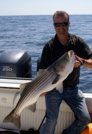 Vertical jig striped bass Vertical Jig Striped Bass