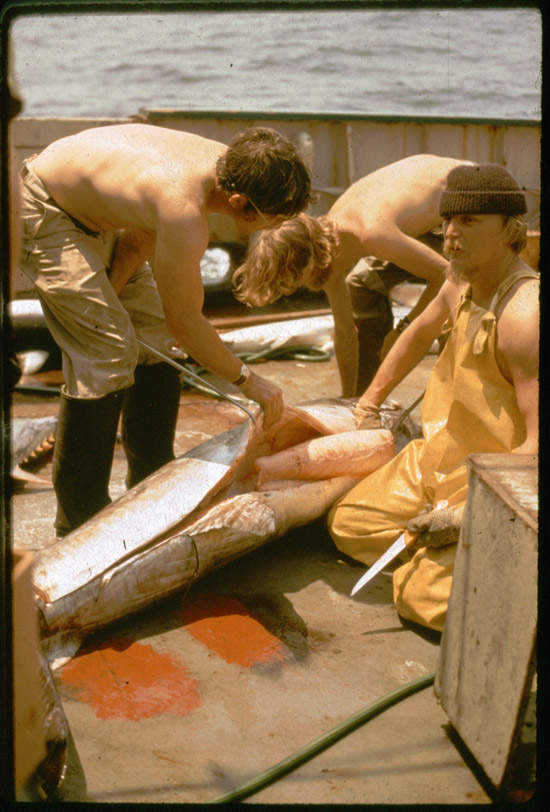 In his younger years, Dave spent time at sea on research vessels based out of Woods Hole. He would often recount various tales from the sea, much to the delight to anyone lucky enough to be listening.