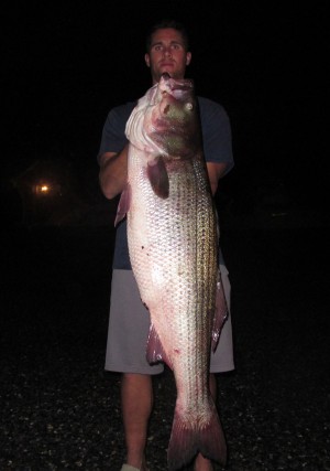 CT surfcaster Andrew Jones hit this 45.5 lb bass to cap off another great Striper Cup.