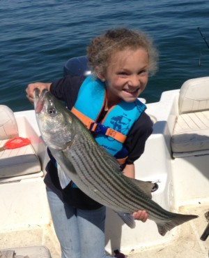 8-year-old Ava Range caught this 31-inch Barnstable Harbor striper, her biggest ever, on a live mackerel.