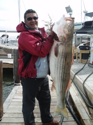 Leonel Contreras with a 48-pound striper caught just off Long Island last week.