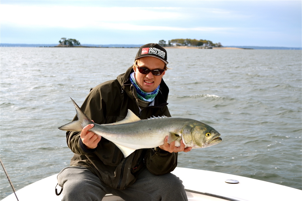 Connecticut Bluefish Fishing