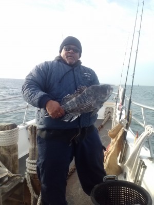 The Francis Fleet capitalized on the pleasant weather with some great cod and black sea bass fishing. 