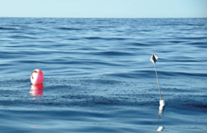 High-flier buoys are a common sight offshore, and they are mahi magnets. On a flat day you can use your radar to locate them. 