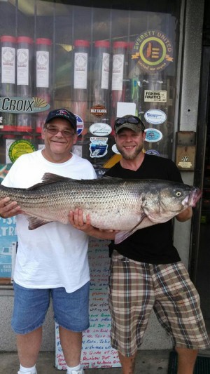 Steve Foulds (right) and his dad with a 44"/47-pound bass caught while fishing in the Chelsea Yacht Club Striper Tournament this past weekend.