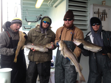 The cod fishing was great aboard the Viking Fleet this week.