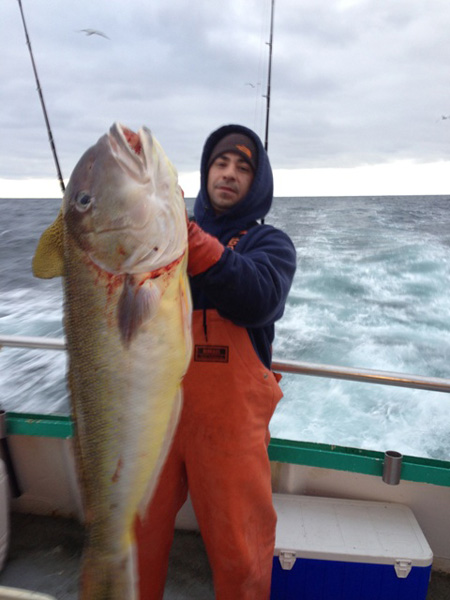 This big tilefish was caught aboard the Viking fleets 25 hour tile and hake trip.