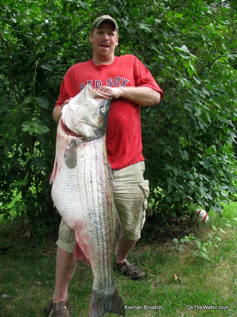 greg myerson potential record striped bass