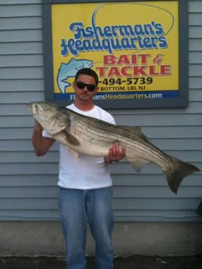 New Jersey striper