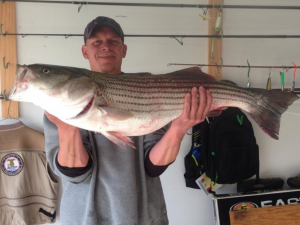 Chris Irons shows off a nice 21.8-pound striper caught from the surf.