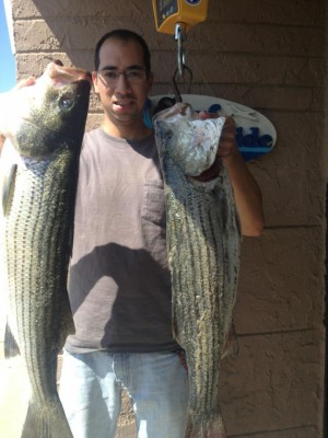 Quality stripers are still being caught in the North Jersey surf, like this pair of 17-pounders weighed at Surf Side Bait and Tackle.