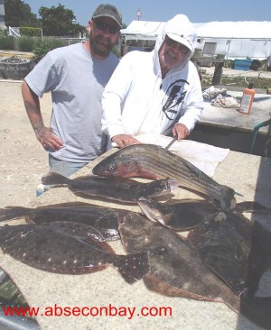 Backwater fishing is hot in South Jersey with both fluke and striped bass. Photo Courtesy of Absecon Bay Sportsman Center.