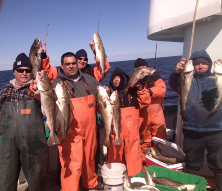 The cod bite off Montauk has picked up in a big way. The Viking Star limited out on its Sunday trip.