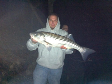 Jason Jadach of Bobby J's Bait and Tackle has been taking advantage of cooperative striped bass and relatively warm nights on the Housatonic River lately.
