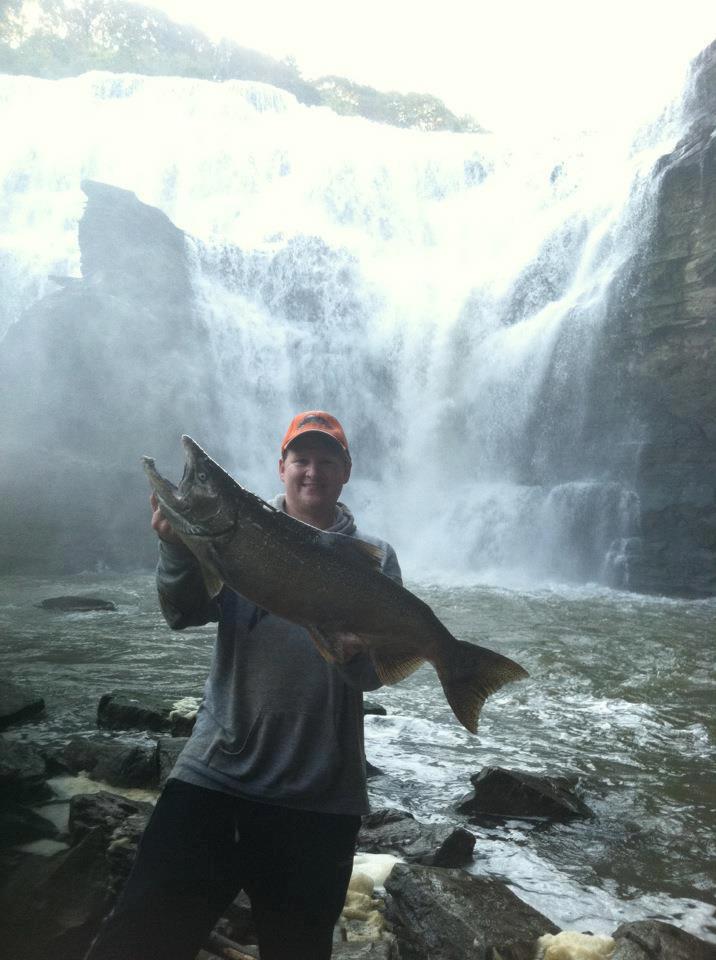 kingsalmonforecastnymarkmohan