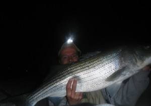 The author snapped this "self-portrait" Wednesday night of a nice bass that took an eel in a Greater Boston estuary.