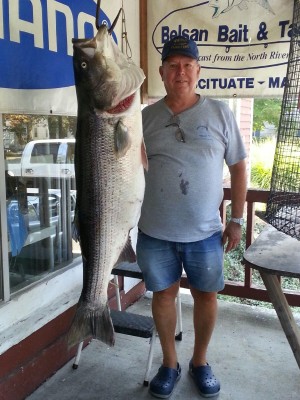 Captain Walter "Pete" Peterson jigged up this 53-pounder on Wednesday in Boston Harbor.
