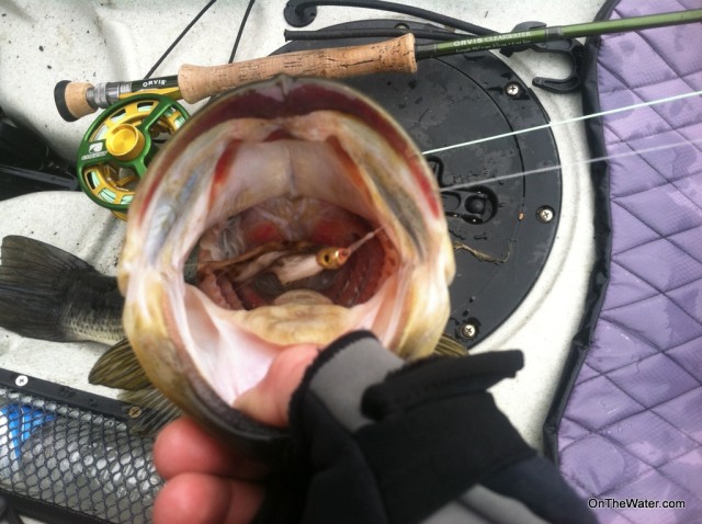 A crudely tied streamer caught the eye of this late-March largemouth.