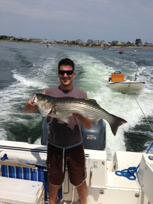Bobby Reilly caught this 36"/20-pound striper with live mackerel in the North River in Humarock, MA.