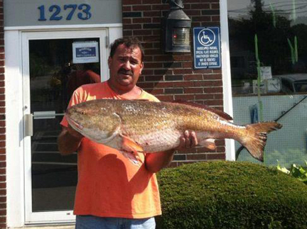red drum CC