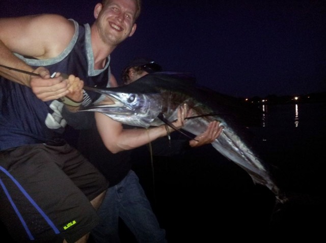 In case you missed it, Justin Sprague caught this sailfish on Tuesday night while fishing in the Canal.