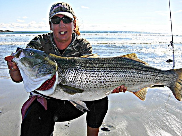 Massachusetts Striped Bass Surfcasting