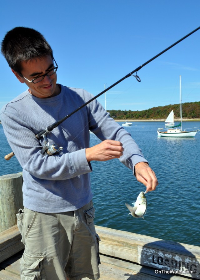 snapper bluefish outfit