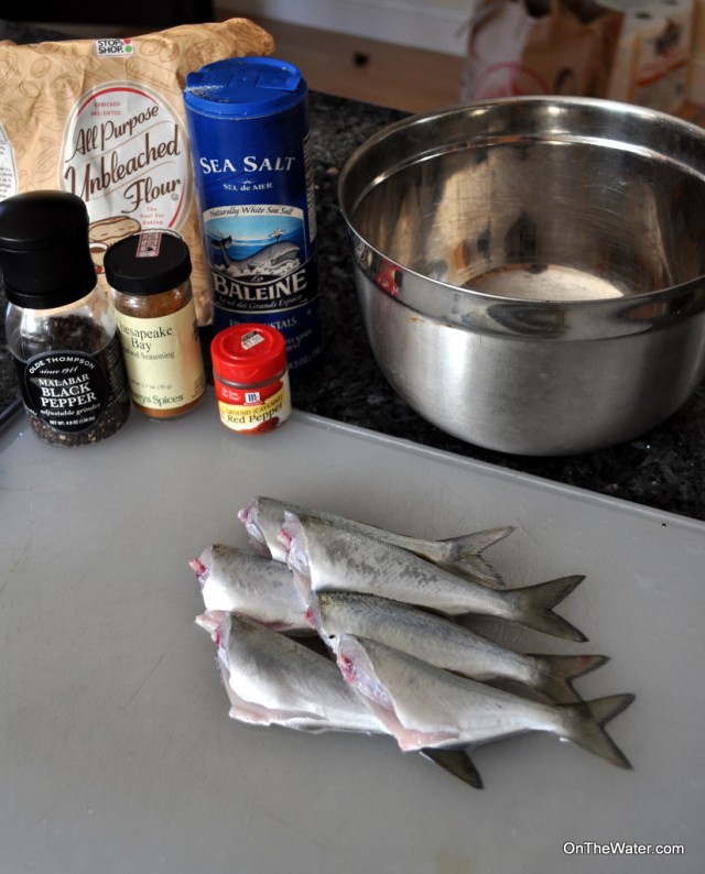 snapper bluefish recipe
