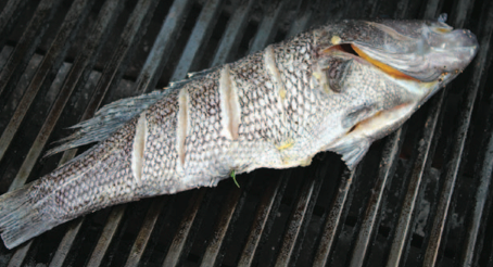 Get your grill red hot, and make sure you oil the grates so the fish won’t stick.