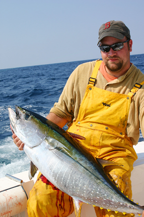 yellowfin tuna OS yellowfin tuna