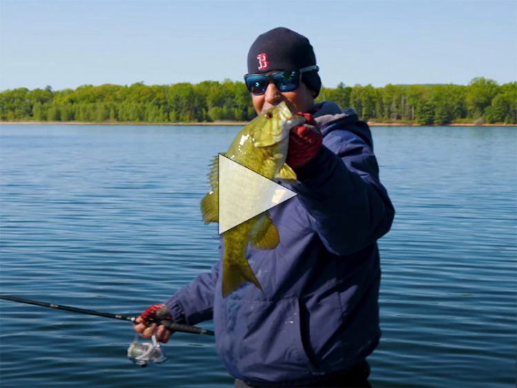 Smallmouth Bass At The Quabbin Reservoir