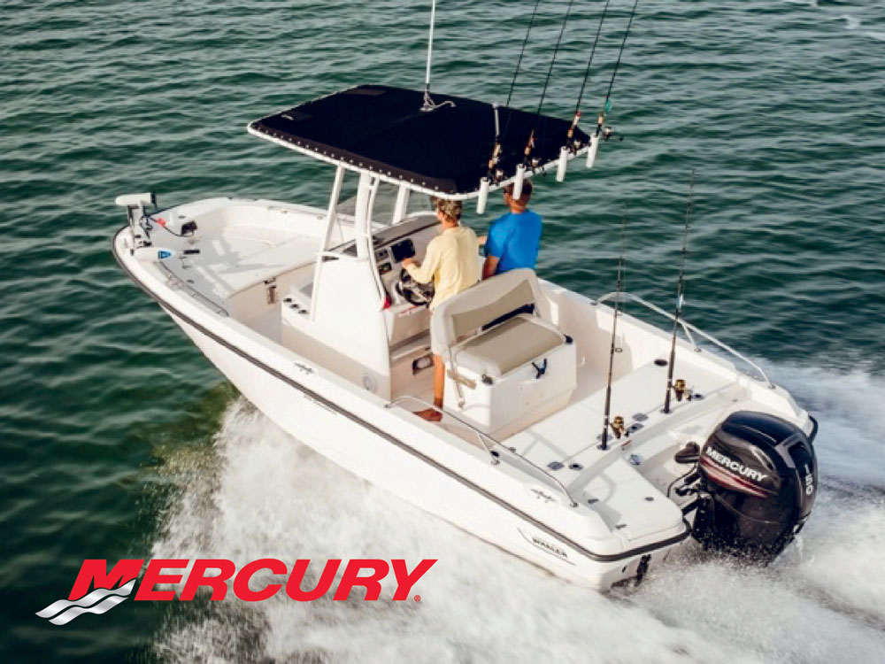 Boston Whaler 210 Dauntless