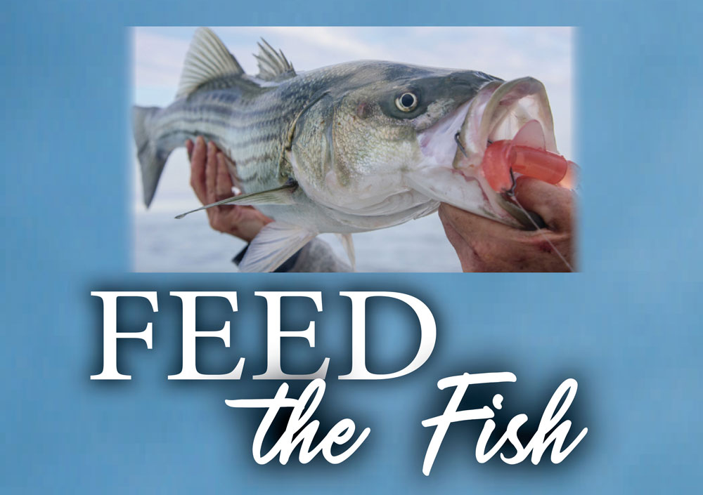 Feed the fish