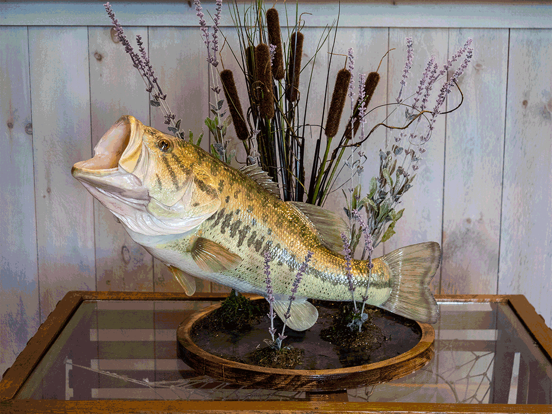 Catch & Release Artistry