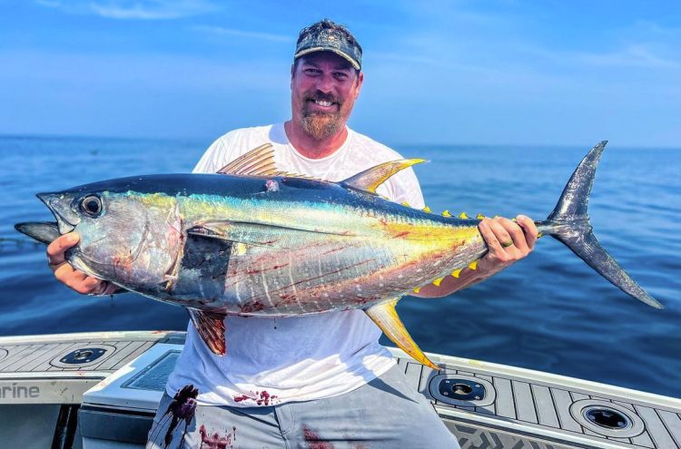 Tall Tailz Charters bluefin tuna