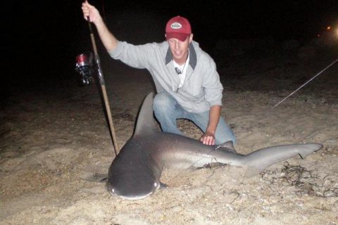 Brown Sharkin&rsquo; on Rack and Fin Radio