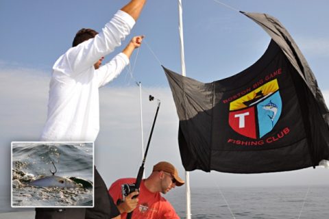 2011 Monster Shark Recap (7/22-7/23)