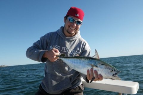 Addicted to Albacore (Weekend Report)