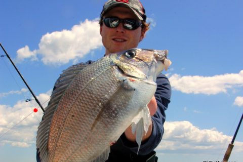 CT Extends Scup Season