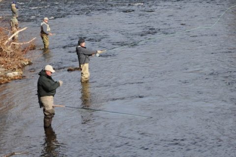 2011 Salmon Run Enforcement Report