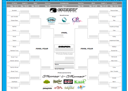 Cheeky Fly Fishing March Madness