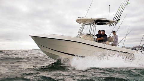 This Could be Your Hydra-Sports Boat!