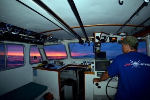 Summer Shark Tournaments &ndash; Part 2