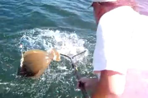 Always, Always, Always&hellip;