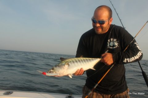 The Bones are Back in Town (Hard-Tail Report)