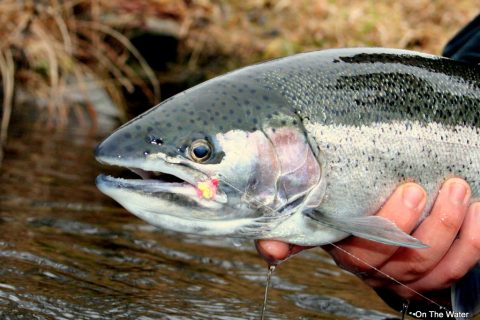 Keep Your Colors Fresh