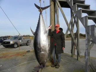 Connecticut Angler Lands 609-Pound Tuna