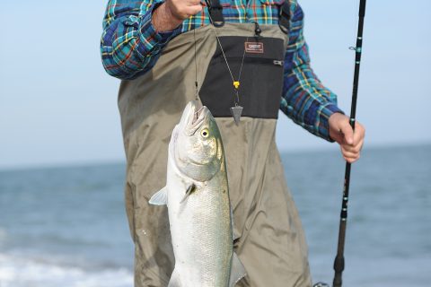 3 of the most common surf rigs to help you catch more fish.
