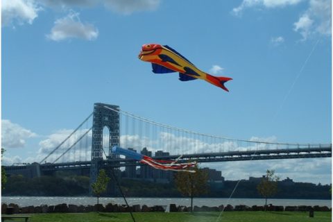 2013 Hooked on the Hudson