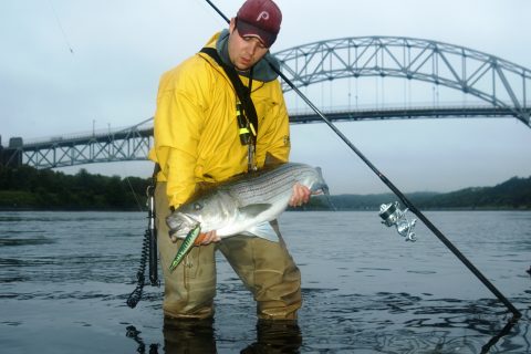 From The Surf: Early Morning Fishing